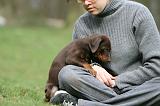 ENFANT ET CHIEN 472